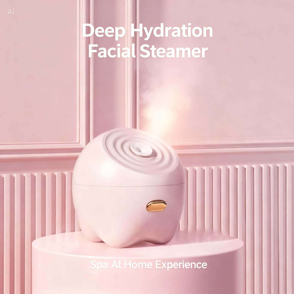 Beautivana warm nano mist facial steamer