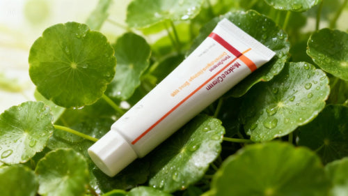 Centella Asiatica Anti - Aging Korean Skincare for Anti - Aging - Beautivana